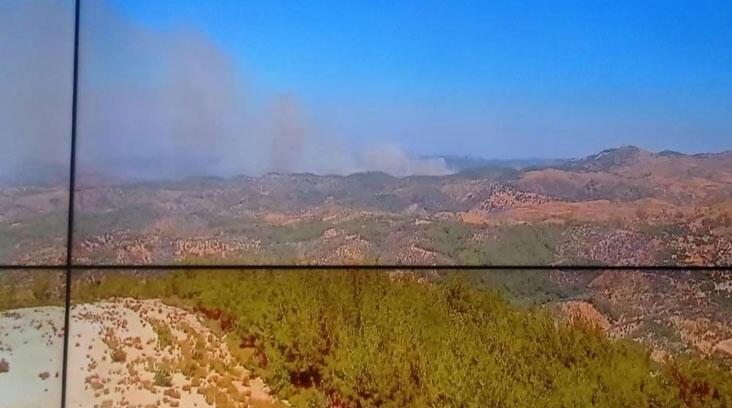 İzmir Seferihisar’da orman yangını