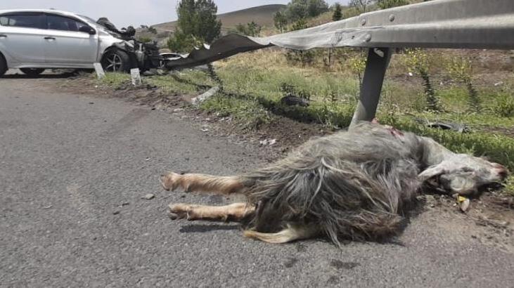 Kaçan kurbanlık kazaya neden oldu! 1’ i ağır 5 kişi yaralandı