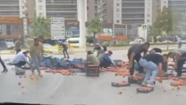Kamyonetten dökülen şeftaliler için seferber oldular