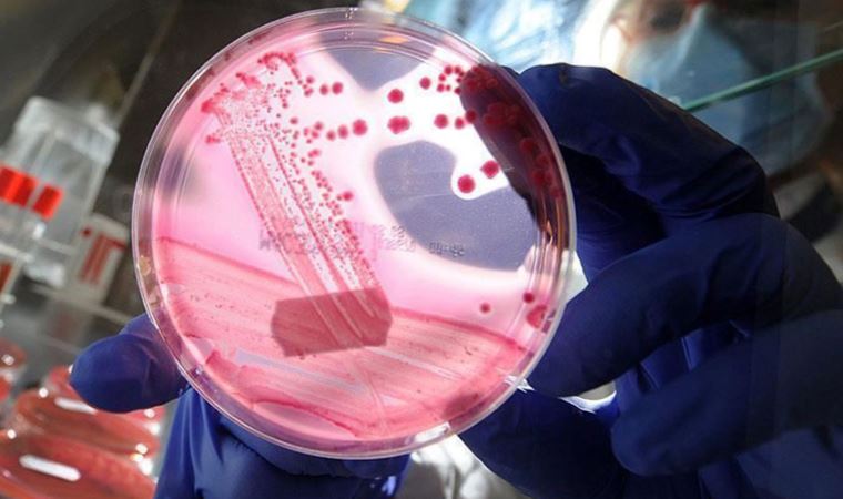 Kan kanserlerinde başarılı olan yöntem, meme kanserinde de umut olabilir