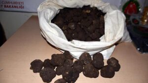 Kapıkule’de 1 milyon 30 bin liralık trüf mantarı ve kehribar ele geçirildi