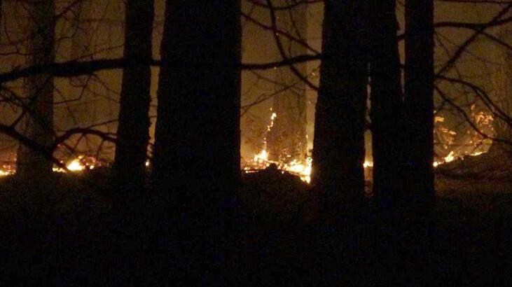 Kaz Dağları’nda ormanlık alanda örtü yangını çıktı