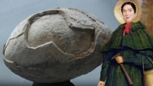 Keşfeden ilk kişi yakılarak öldürülmüştü! Türkiye’deki 5 ilde dinozor yumurtası mı bulundu?