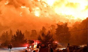 Kiralık helikopterler yangınlarda neden yattı?!