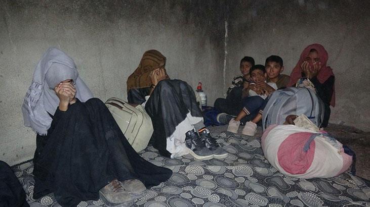 Kömürlükte 13 kaçak göçmen yakalandı! 3 organizatöre gözaltı