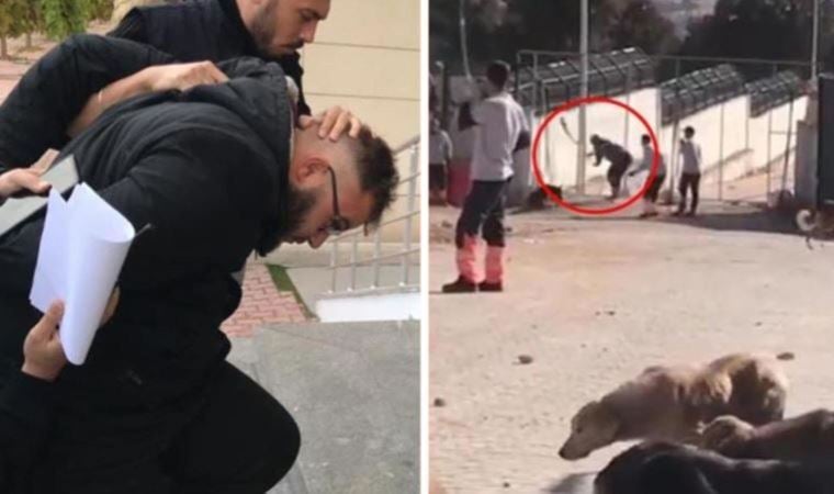 Konya’daki barınak vahşeti davasının ilk duruşmasında karar: Caniler serbest