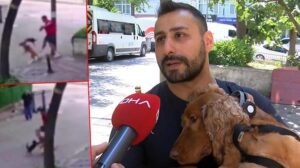 Köpeğini dolaştırmaya çıktı, kedi saldırısıyla şoke oldu