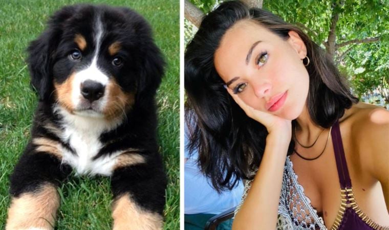 Köpeğini kurtarmak için canını tehlikeye attı: Tuvana Türkay o anları anlattı…