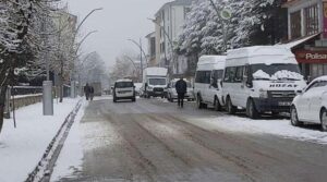 Kuduz alarmı! Hozat’a hayvan giriş- çıkışı yasaklandı