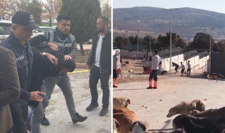 ‘Kürekle’ vurmuşlardı: Konya’daki vahşette sanıklar ilk kez hakim karşısında… Savunmaları ‘pes’ dedirtti!