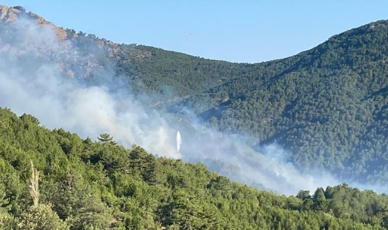 Kütahya’daki orman yangınında 2. gün: Köy tamamen boşaltıldı