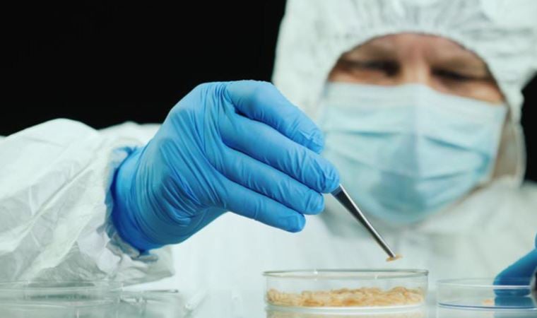 Larva ile yara tedavisi: Cengiz Han’dan günümüze yaralarda kurtçuk kullanımı