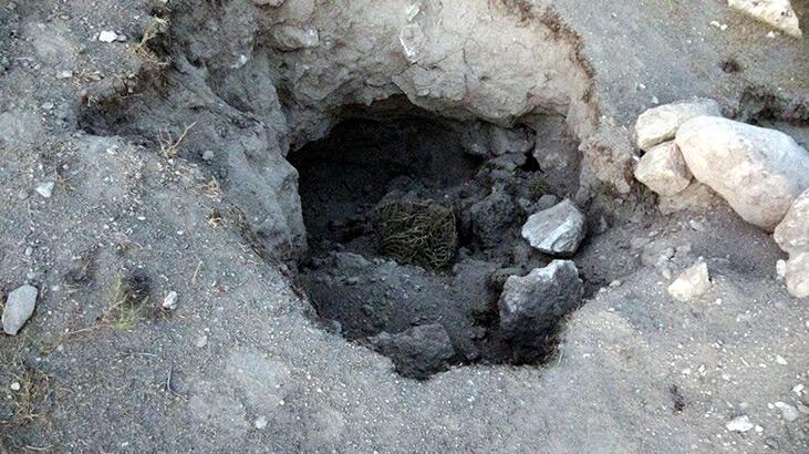 Liman kalıntıları ortaya çıktı, defineciler bölgeyi köstebek yuvasına çevirdi