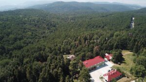 Mangal yasağı piknikçileri küstürdü ama yaban hayatı canlandı