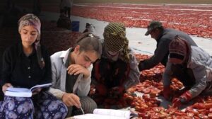 Mevsimlik işçi öğrencilerinden büyük başarı! Hukuk fakültesi ve Türkiye derecesi