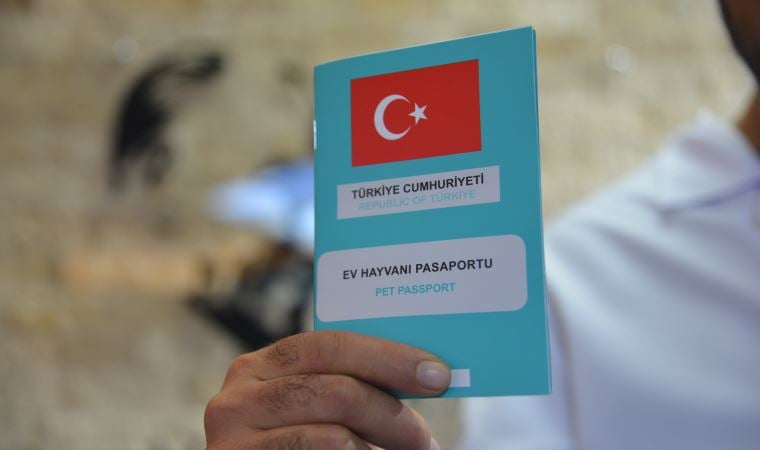 ‘Mikroçip’ bitti, veterinerler süre uzatımı istedi: ‘Tedarik sorunu yaşıyoruz’