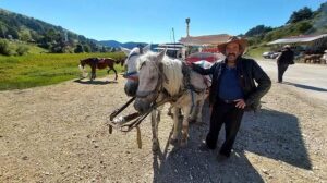 Milli parktan uzaklaşan faytoncular: İş yapamıyoruz