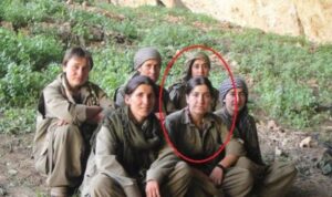 MİT’ten Norşin Afrin operasyonu: Korumalarıyla etkisiz hale getirildi