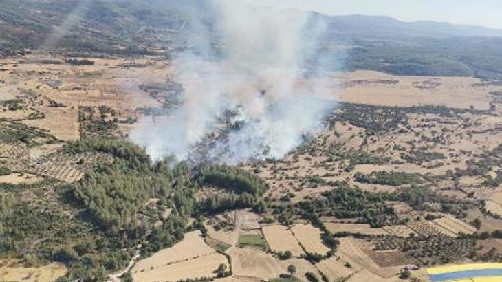 Muğla, Manisa ve Mersin’de yangın