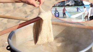 Osmanlı sarayına da giren 150 yıllık sır! Terletmesin diye Karadeniz’de yıkanıyor