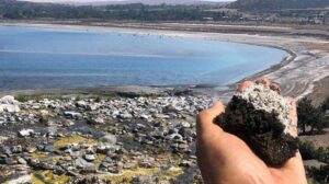 Salda’da ‘salyalaşma’ ve ‘kararma’ uyarısı