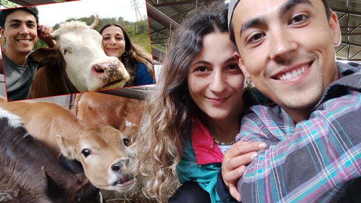 Şehirde olmayanı ata toprağında buldu! ‘İnek bile doğurtup para kazandık’