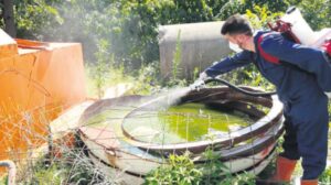 Sivrisinek türüne göre müdahale