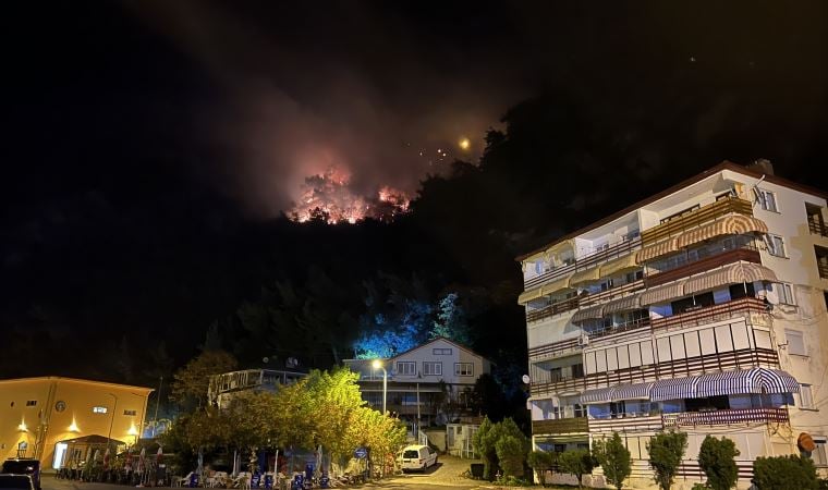 Son Dakika: Bartın’da orman yangını