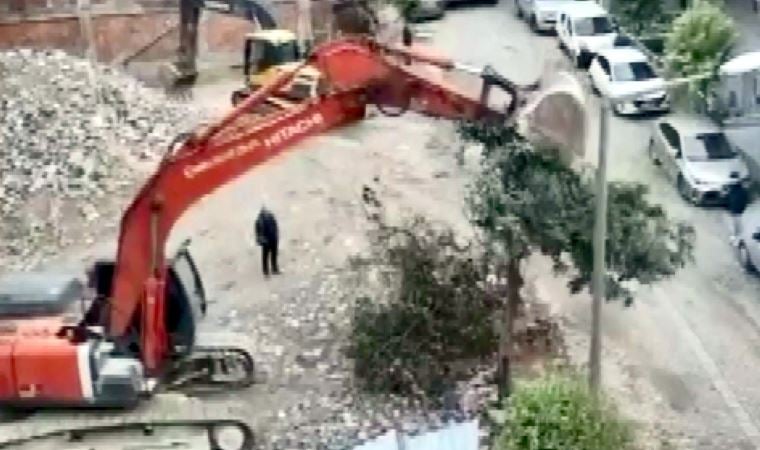 Tepki çekmişti: Avcılar’da ağacın kepçeyle devrildiği inşaat ‘mühürlendi’