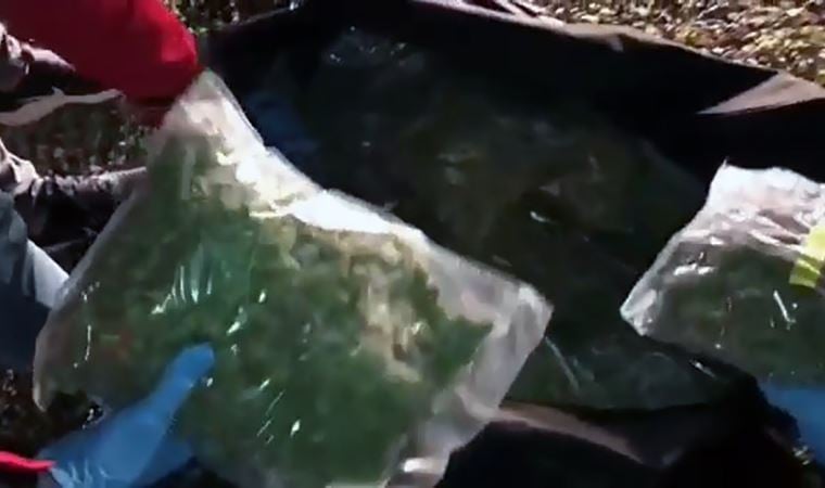 TIR’da valizlere gizlenmiş 120 kilo esrarı bulundu: 4 kişiye tutuklama
