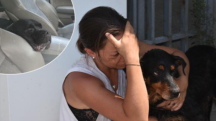 Ukraynalı çifti Edirne’de sarsan olay! Araca dönünce kahroldular