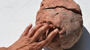 Ulucak Höyüğü’ndeki kazılarda bulunmuştu! Ne olduğu belirlendi