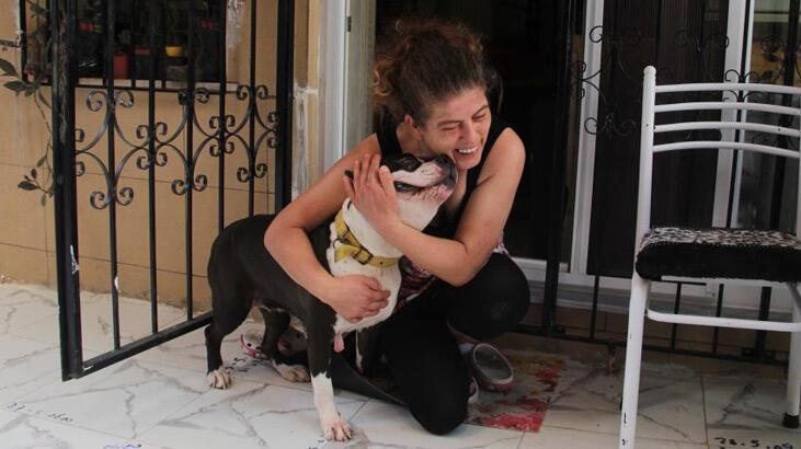 Uyutulmak istenen köpeğe kıyamadı, komşusuyla karakolluk oldu