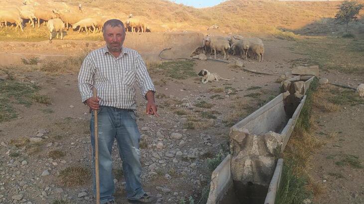 Vicdansızlığın böylesi! Hayvanlar su içmesin diye bakın ne yaptılar