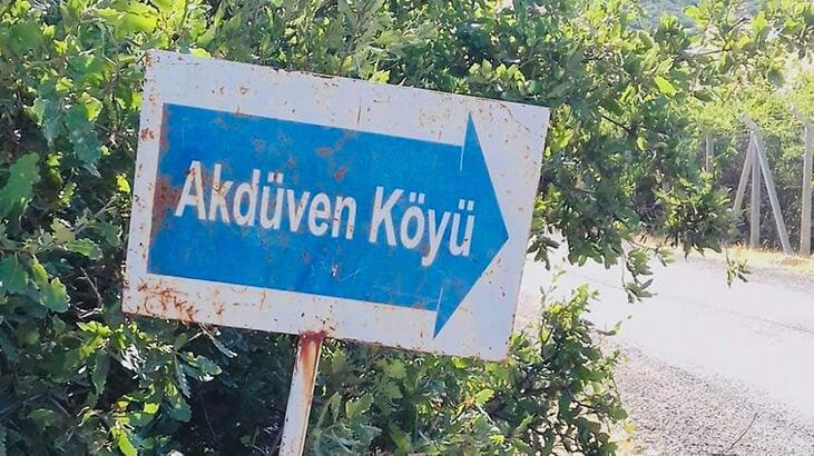 Yaban hayvanının ısırdığı inek kuduz çıktı, köy karantinaya alındı