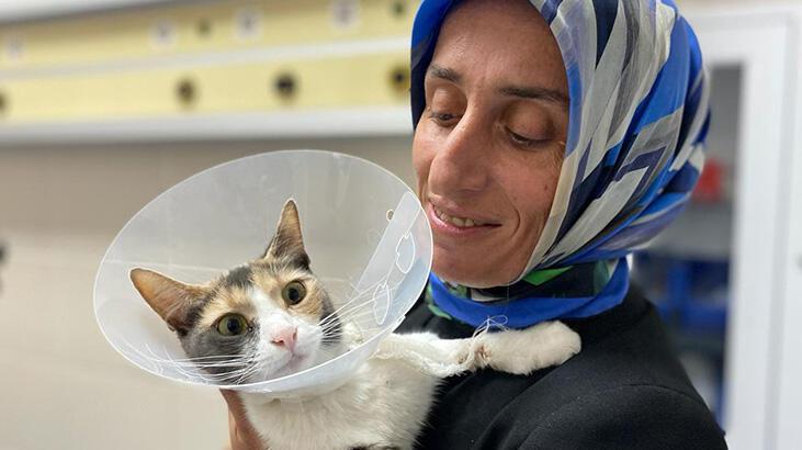 Yaralı kedisinin tedavisi için 1700 kilometre katetti