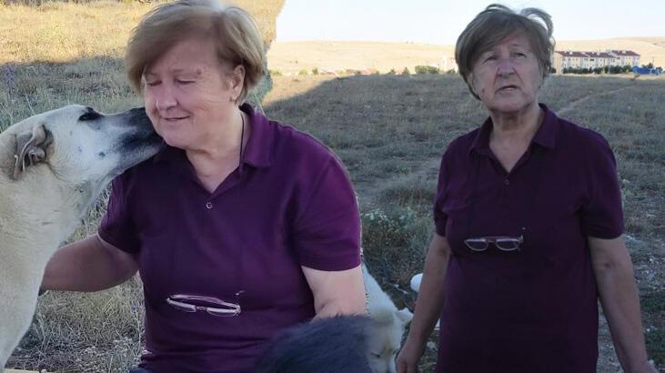 Yaşlı kadına hayvan besleme tehdidi! ‘1 ayda 2 kere saldırıya uğradım’