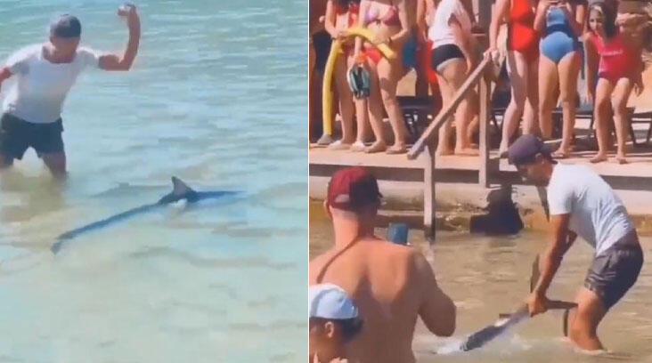 Yer: Marmaris! Akdeniz zarganasını tokatla sersemletip kuyruğundan yakaladı