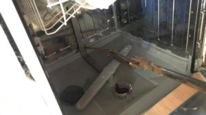 Yer: Muğla! Bulaşık makinesinden yılan çıktı