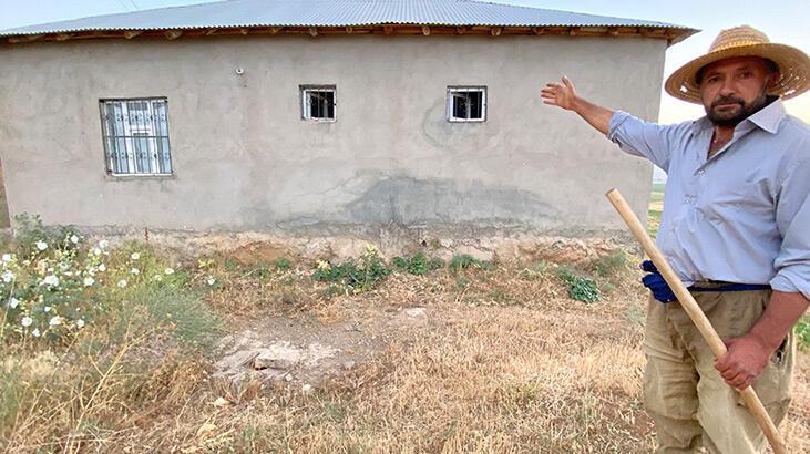 Yılanlı evde korkulu yaşam