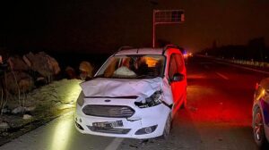 Yola çıkan eşekler, kazalara neden oldu; 1 yaralı